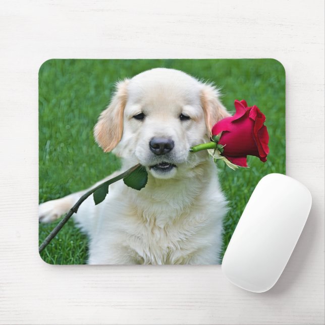 Golden Retriever Puppy med Röd ros Musmatta (Med mus)