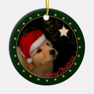 Golden Retriever Puppy med Santa Hat Julgransprydnad Keramik