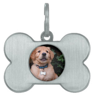 Golden Retriever Puppy Namnbricka Husdjur