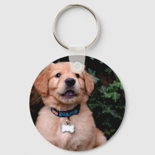 Golden Retriever Puppy Nyckelring
