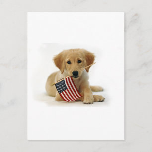 Golden Retriever Puppy och Flagga Vykort