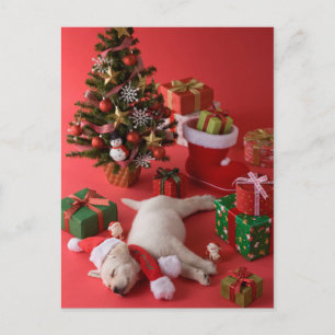 Golden Retriever Puppy och jul Helg Vykort