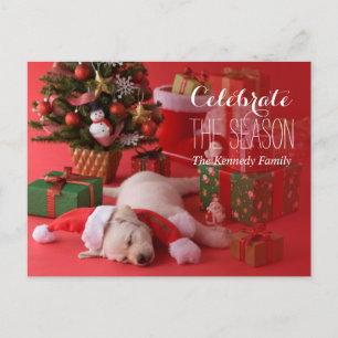 Golden Retriever Puppy och jul Helg Vykort