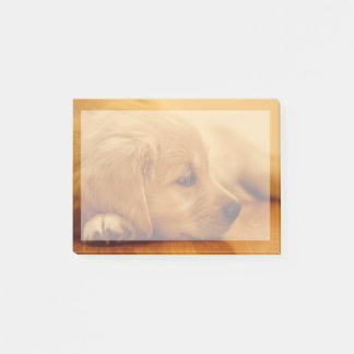 Golden Retriever Puppy Post-it Block