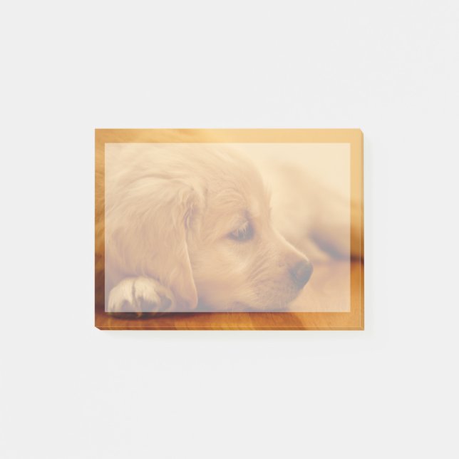 Golden Retriever Puppy Post-it Block (Framsida)