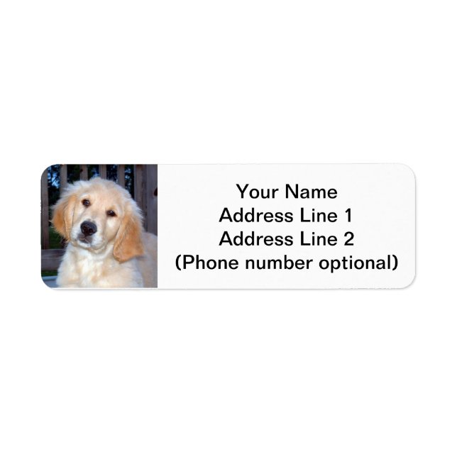 Golden Retriever Puppy Returadress Etikett (Framsidan)