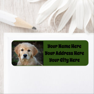 Golden Retriever Puppy Returadress Etikett