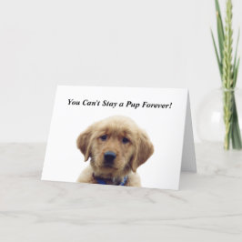 Golden Retriever Puppy Studenten Card Kort