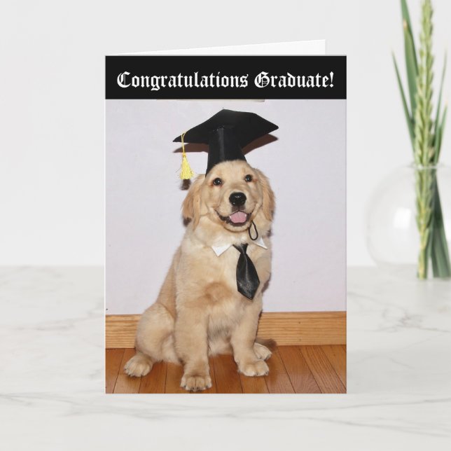 Golden Retriever Puppy Studenten Kort (Framsida)