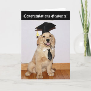 Golden Retriever Puppy Studenten Kort
