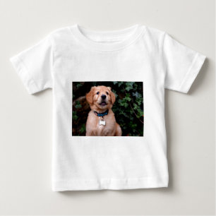 Golden Retriever Puppy T-shirt