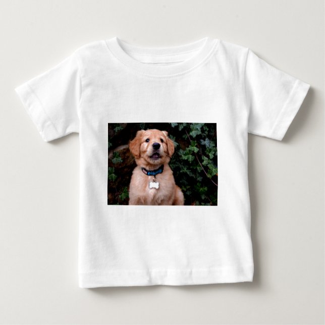 Golden Retriever Puppy T-shirt (Framsida)