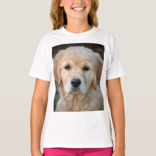 Golden Retriever Puppy T Shirt