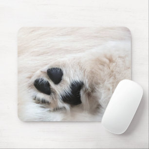 Golden Retriever Puppy Tass Musmatta