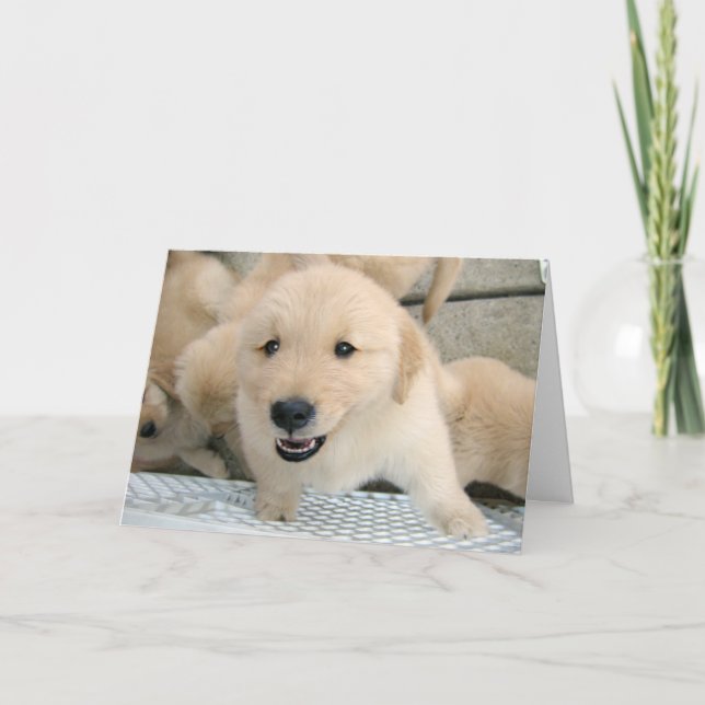 Golden Retriever Puppy Therapy kommer bra Kort (Framsida)