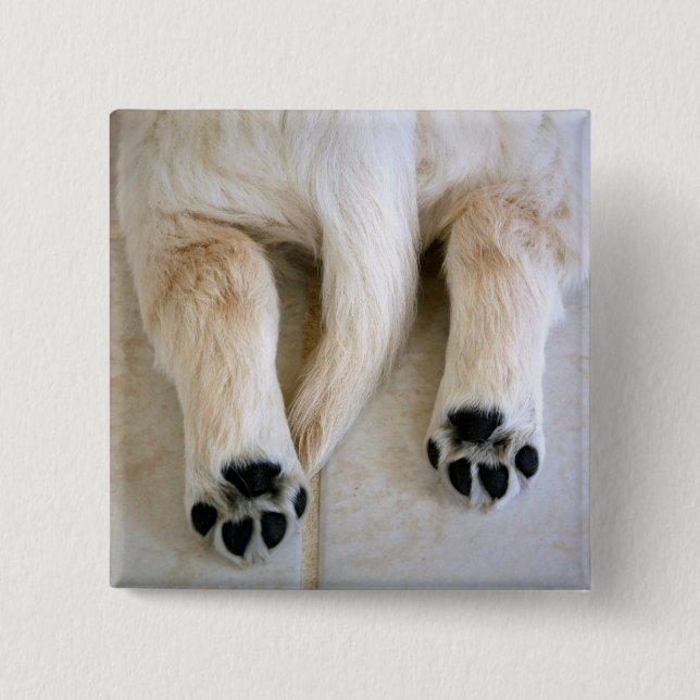 Golden Retriever Puppy Toes Knapp (Framsida)