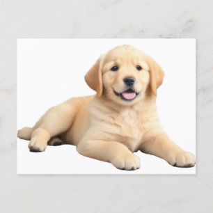Golden Retriever Puppy Vykort