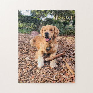 Golden Retriever Puzzle Pussel