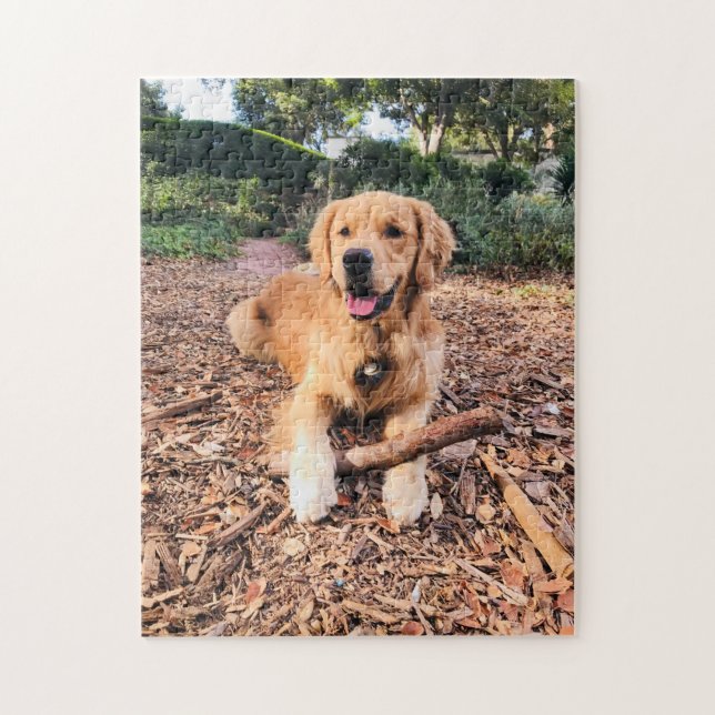Golden Retriever Puzzle Pussel (Vertikal)