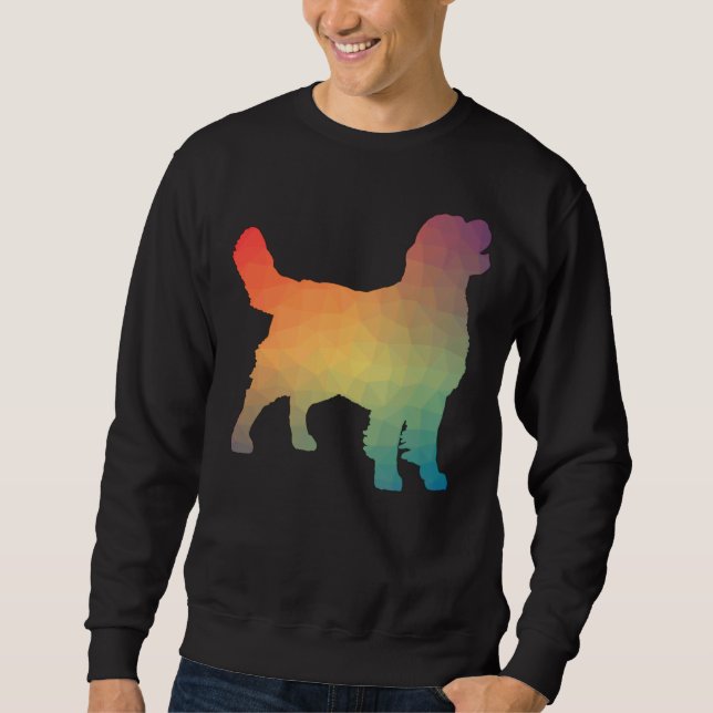 Golden Retriever Rainbow Geometric Lång Ärmad Tröja (Framsida)