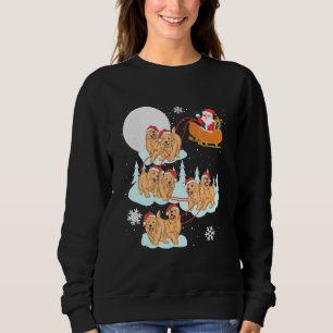 Golden Retriever Reindeer Santa Sleigh jul D T Shirt