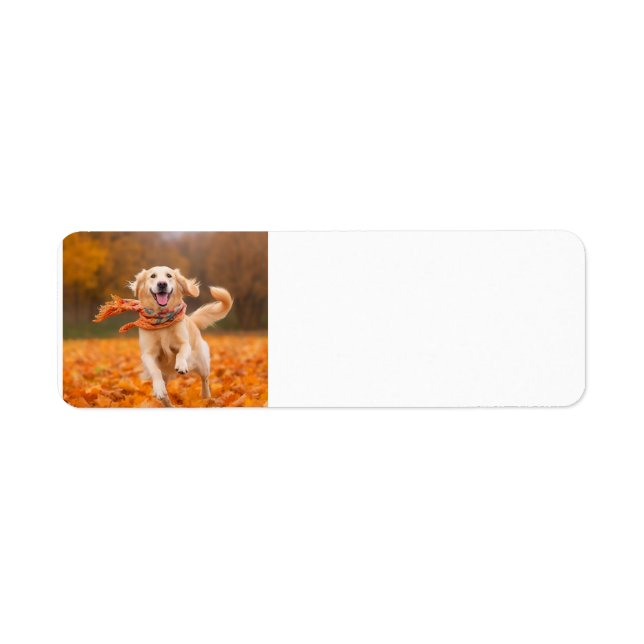 Golden Retriever-Returetiketter Returadress Etikett (Framsidan)
