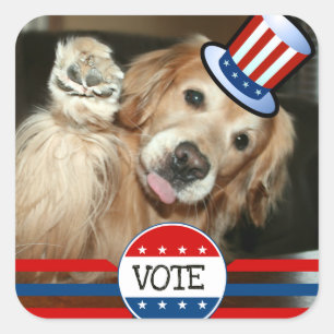 Golden Retriever RTE Stickers Fyrkantigt Klistermärke