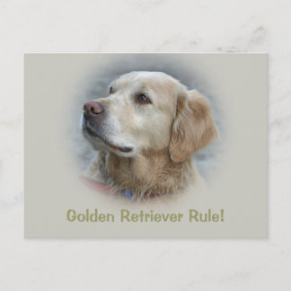 Golden Retriever Rule! - Kort