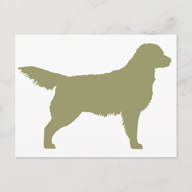 Golden Retriever (sage grönt) Vykort (Framsida)