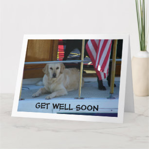 GOLDEN RETRIEVER SÄGER: VAR SNART VÄLKOMMEN KORT