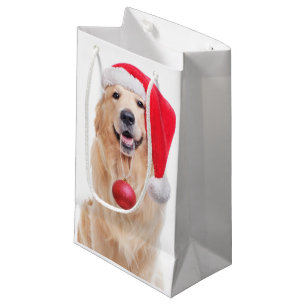 Golden Retriever Santa
