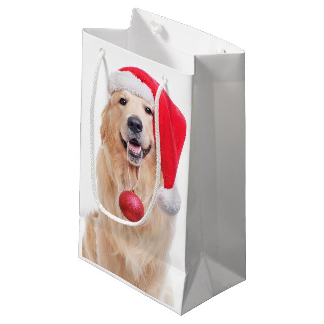 Golden Retriever Santa (Framsidan Vinklad)