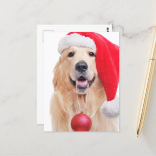 Golden Retriever Santa Hat Vykort