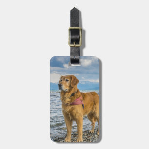 Golden Retriever Sätt in ditt eget fotolådsetikett Bagagebricka