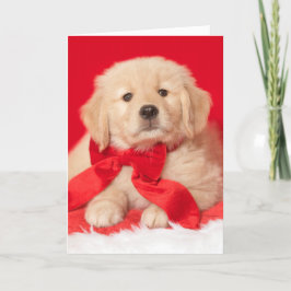 Golden Retriever Seasons Gurr-eetings Puppy Kort