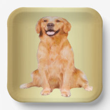 Golden Retriever Sitta