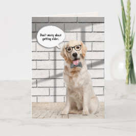 Golden Retriever ska bli äldre Kort