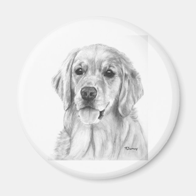 Golden Retriever Sketch Magnet (Framsidan)
