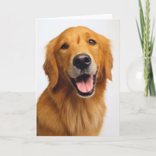 Golden Retriever Smile Kort