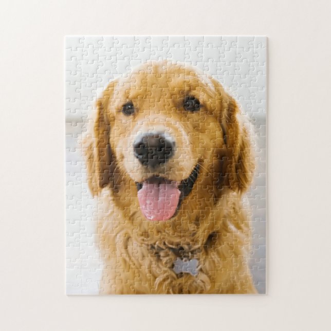 Golden Retriever Smiling Pussel (Vertikal)