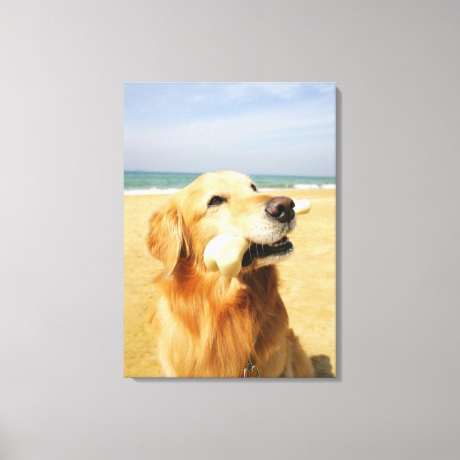 Golden Retriever som äter ben Canvastryck (Framsida)