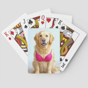 Golden Retriever som bär en rosa bysthållare Casinokort