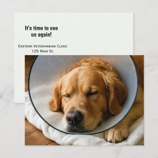 Golden Retriever som bär en skamkon Vykort (Fram/baksida)