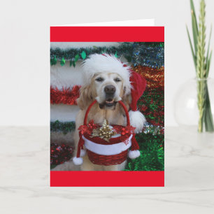 Golden Retriever som håller jul Basket Helgkort