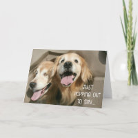Golden Retriever som säger att du är Fantastisk