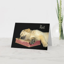 Golden Retriever som sover i Bok Kort