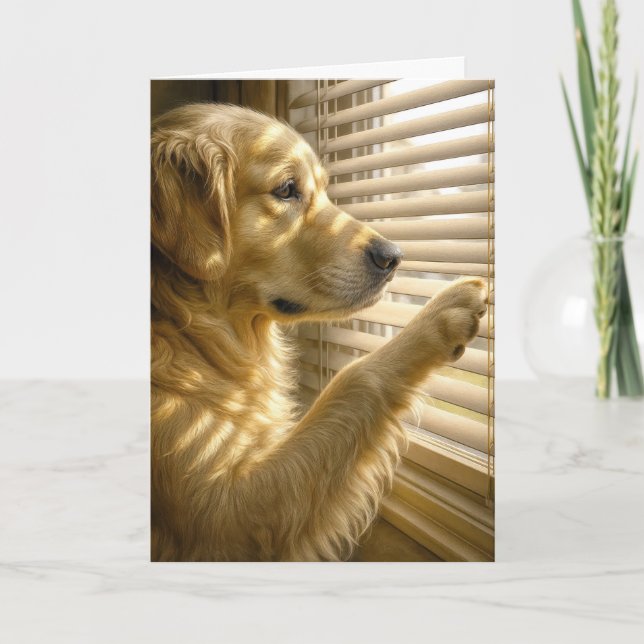 Golden Retriever som tittar genom persienner födel Kort (Framsida)