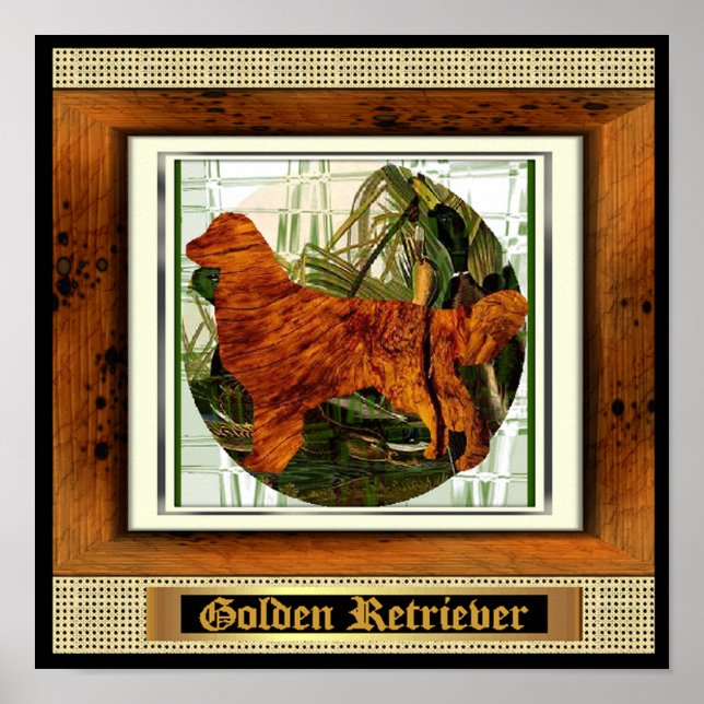 Golden Retriever Sport Hund Poster (Framsidan)