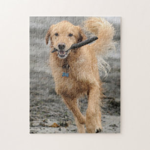 Golden Retriever springer med pinne i munnen Pussel