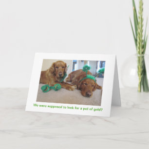 Golden Retriever St. Patrick's Day Card Kort
